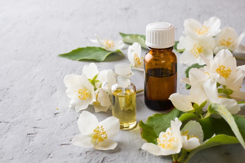 oil jasmine aromatherapy with jasmine oil jasmine flowers